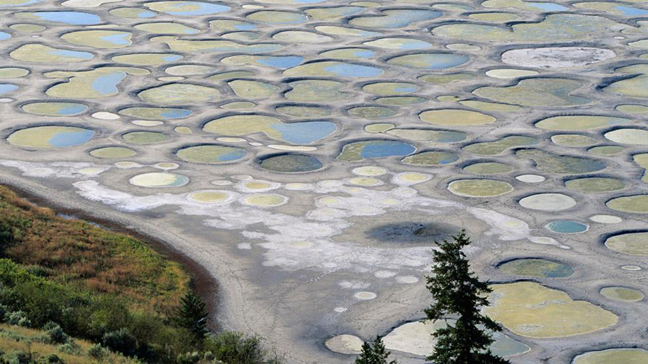 abunawaf.com_wp_content_uploads_2015_03_Spotted_Lake_Canada.jpg