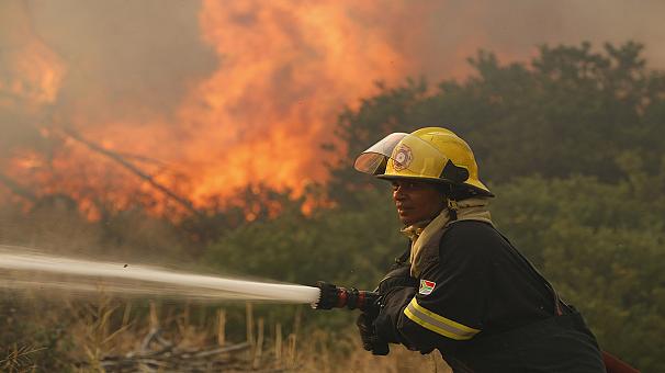 static.euronews.com_articles_301489_606x340_301489.jpg_3503ec7f2c22f4e697a6b300698e0a4c.jpg