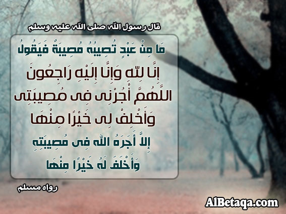 vb.noor_alyaqeen.com_imgcache_12905.imgcache.jpg