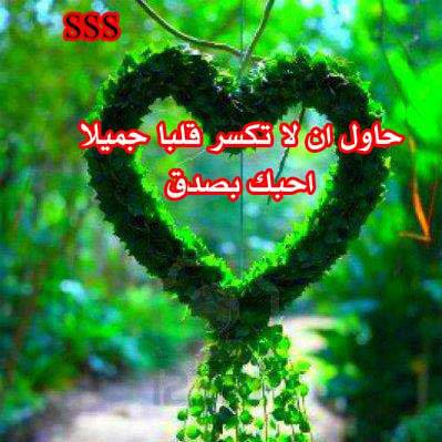 www.almosafr.com_forum_imgcache_2_59681alsh3er.jpg